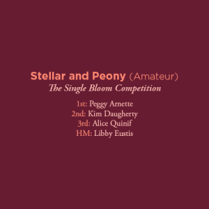 Stellar and Peony Amateur